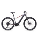 CRUSSIS e-Guera 9.11-(715 Wh)