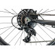 Fondriest Raptor – APEX 11s