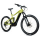 Leader Fox ARRAN 29" 2023