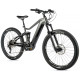 Leader Fox ARRAN 29" 2023