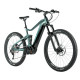 Leader Fox ARRAN 29" 2023